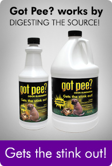 Got Pee? Odor Eliminator works by digesting the source!  Try the Got Pee Black Light!