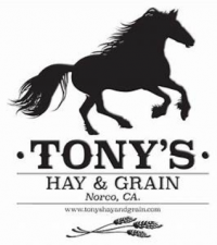 Tonys_Hay_and_Grain_Logo.png